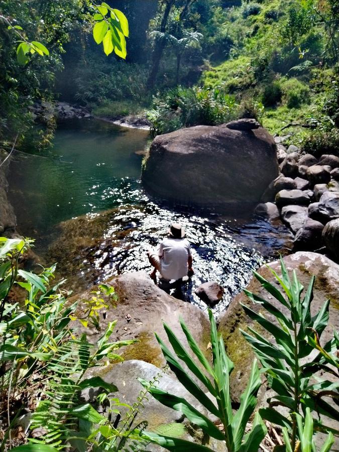 Hospedaje Bosque Del Rio Monteverde Buitenkant foto